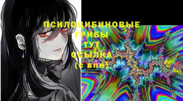 Альфа ПВП Краснослободск