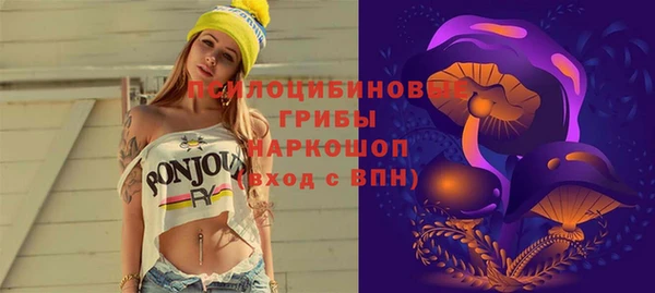 Альфа ПВП Краснослободск