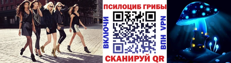 Купить закладки  Городовиковск  Псилоцибиновые грибы Psilocybine cubensis 