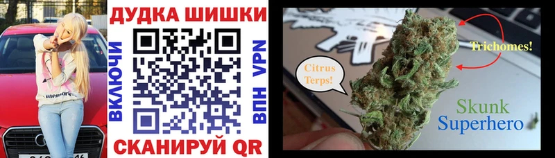 Канабис сатива  Купить закладки  Городовиковск 